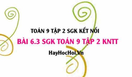 Bài 6.3 SGK Toán 9 tập 2 Kết nối tri thức
